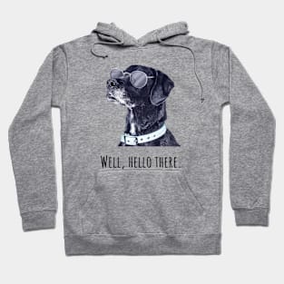 Well, hello there. Dog in Sunglasses Hoodie